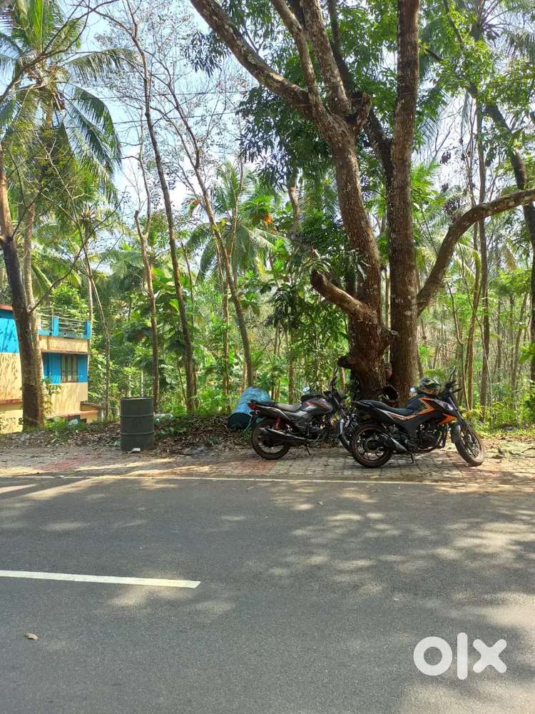 Plot For sale near Near nanniyodu