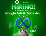 Google Ad and Meta Ad Expert