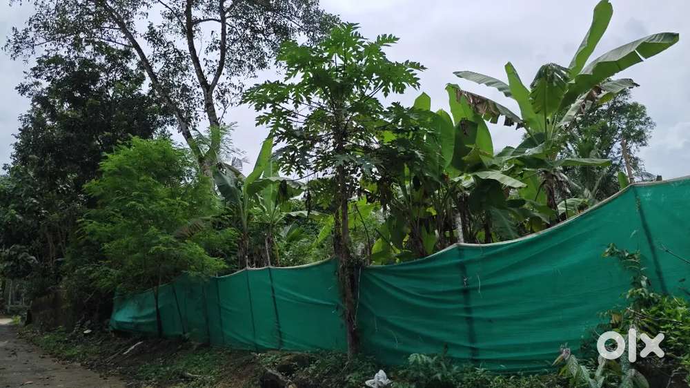19 cent land for sale