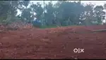 Land for sale- you can purchase full land or 10 cent plots