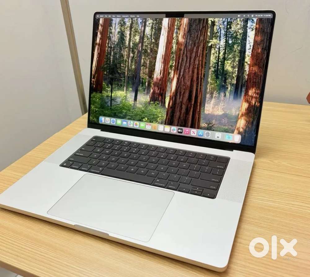 2024 Apple MacBook Pro 16 Apple M4 Max chip 36GB Memory 1TB SSD Silver