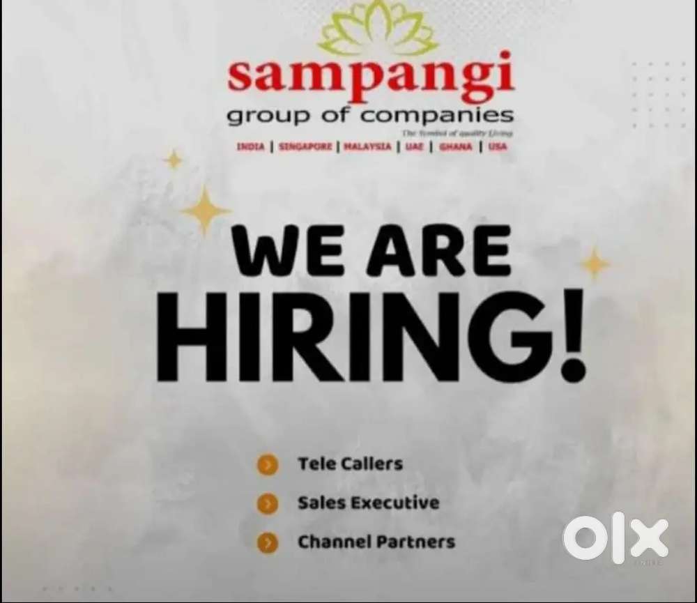 Sales Executive & Telle Callers