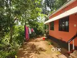 11 cent labd with a 850 sqft 3 bhk house for sale @wayanad