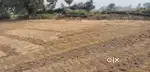 Prime Land for Sale in Silao, Nalanda @ ₹6 Lakh per Decimal – Great In
