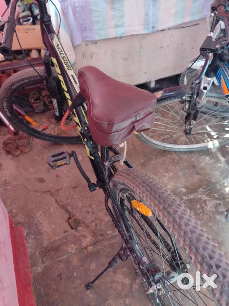 Briston cycle disc brake