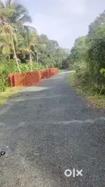 Orchard zone property