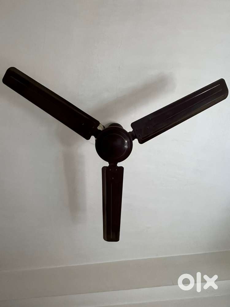 Ceiling Fan