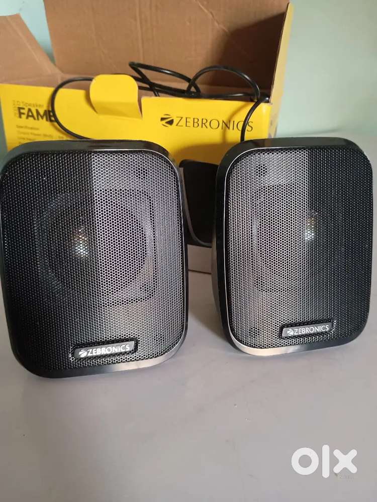 Computer speaker