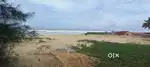 Beach land