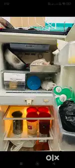 Double door freezer