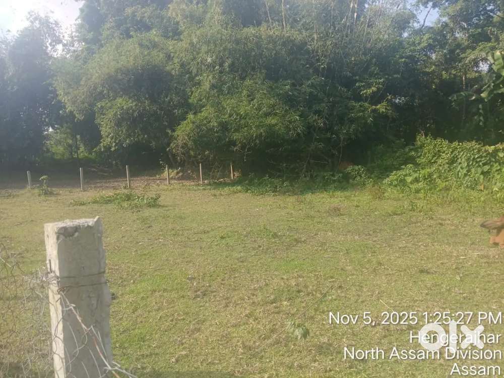 Menapara bazpara, bhakatpara road, 1.2km from NH