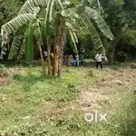 Vacant plot land
