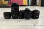 Canon 200D with 18-55, 55-250 and 50mm Portrait Lens