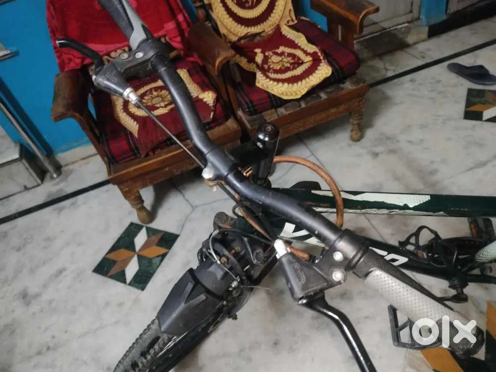 Vesco Sports bicycle