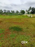 Site for sale