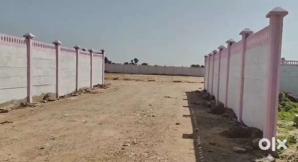2 bigha land