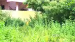 SRM School  Near Property For