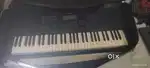 CASIO CTX 8000IN