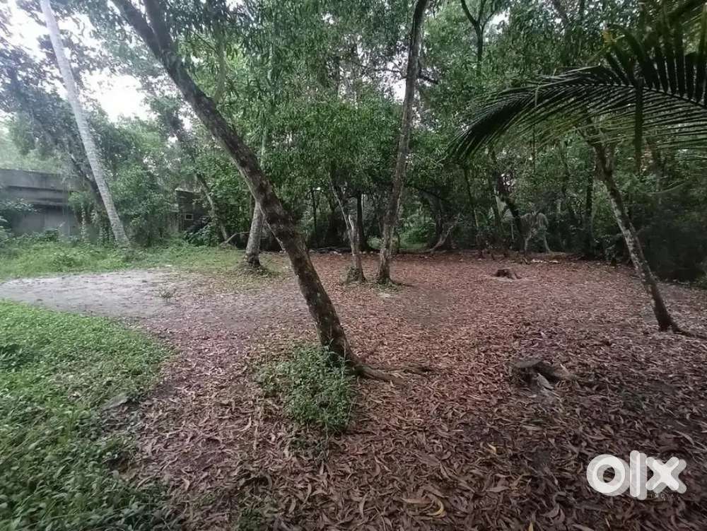 4 cent  Plot . Road Acess.Two wheeler kerunna വഴി.