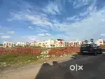 Property Sales Job