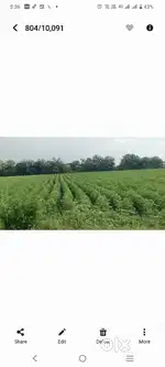 1 Acre of patta Land for sale
