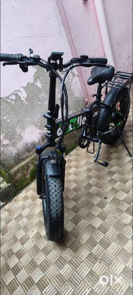 2 months old Doodle Electric cycle