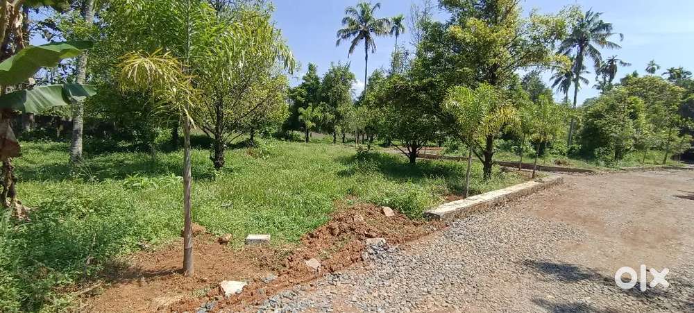 5,6,8, 10, 20, CENT PLOTS ചാലക്കുടി മേലൂർ പള്ളിക് സമീപം ബസ്സ് റൂട്ടിൽ