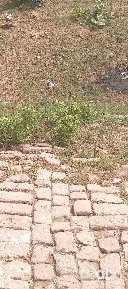 Siroli road Desi sarab ka theka ke pas