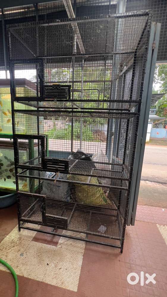 Brids cage for sale