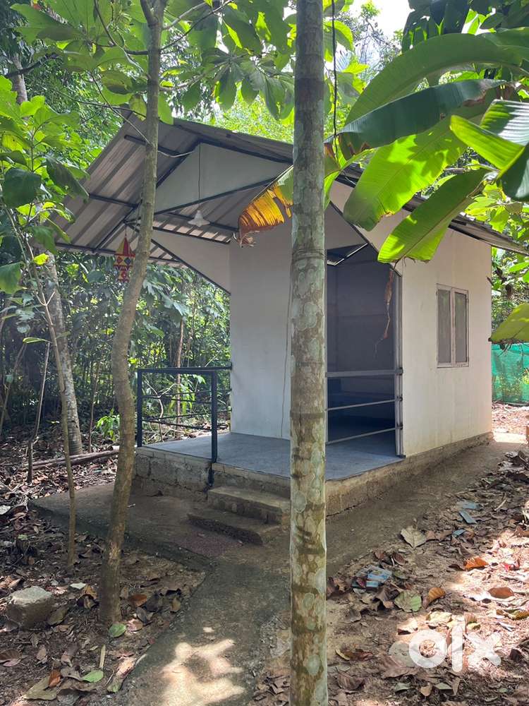 സിംഗിൾ റൂം കോട്ടേജ് മാസ വാടകക്ക്