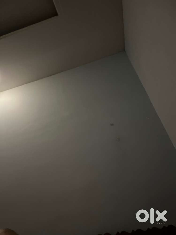 1 room available for grils