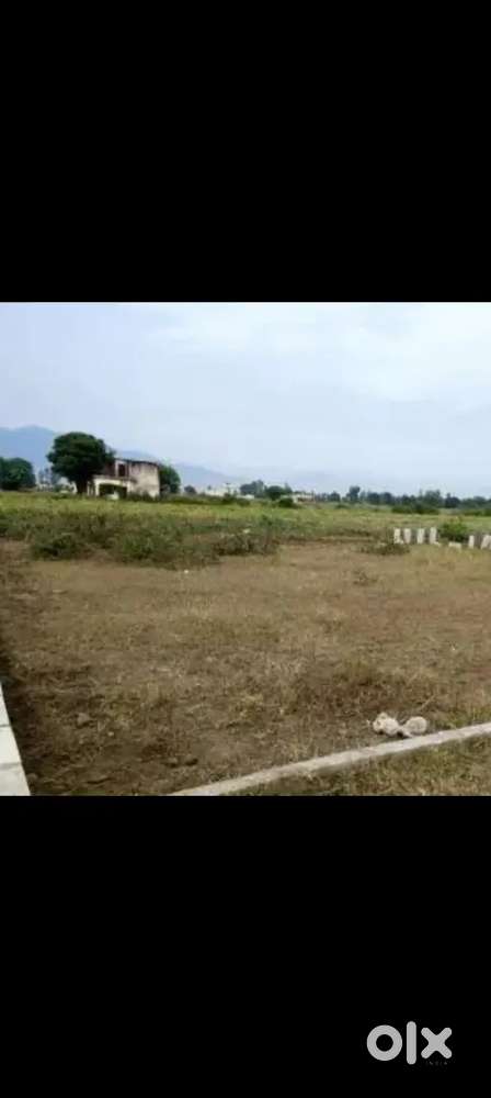 Opposite le park hotel