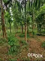 10 Cent plain house plot
