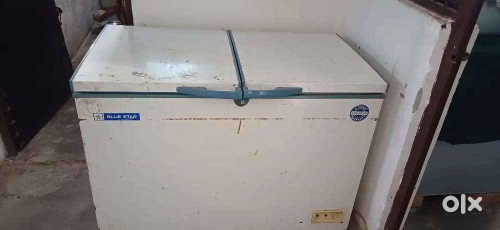 Blue star deep fridge