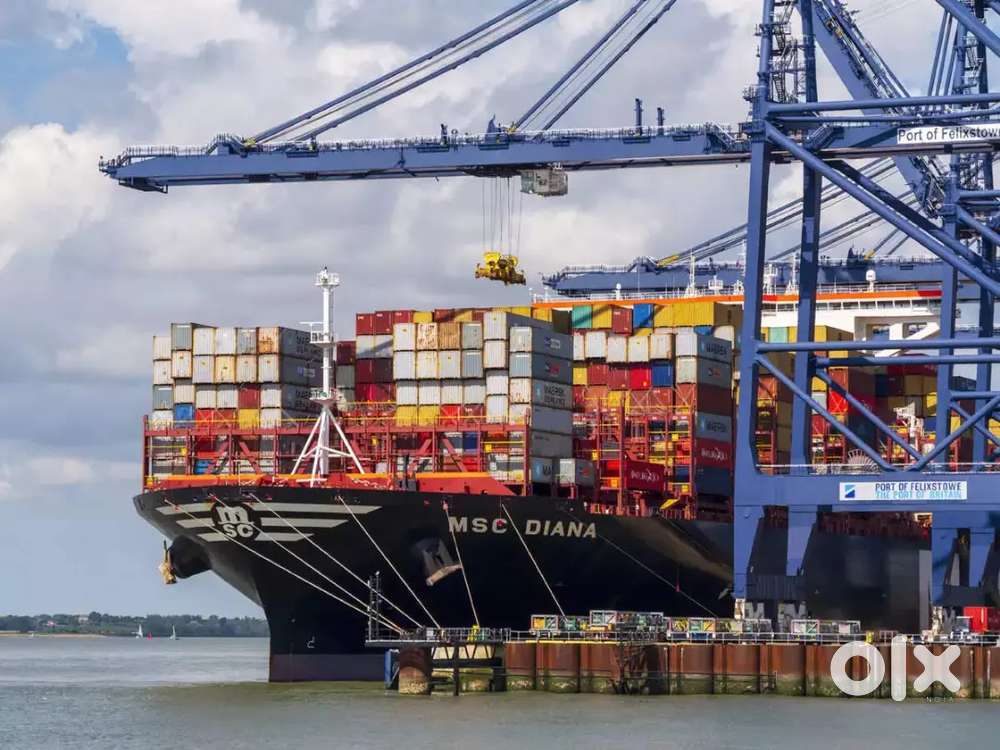 SHIPPING CORPORATION JOINING IN BENGAL MALE AND FEMALE BOTH CONTACT