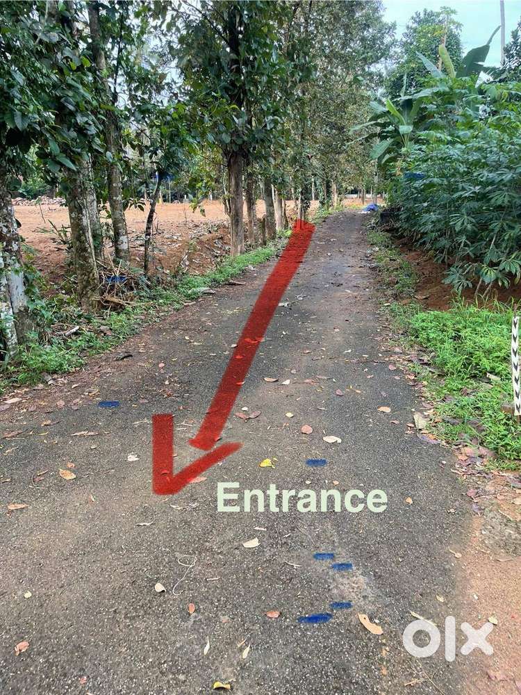 land for sale in kothamangalam