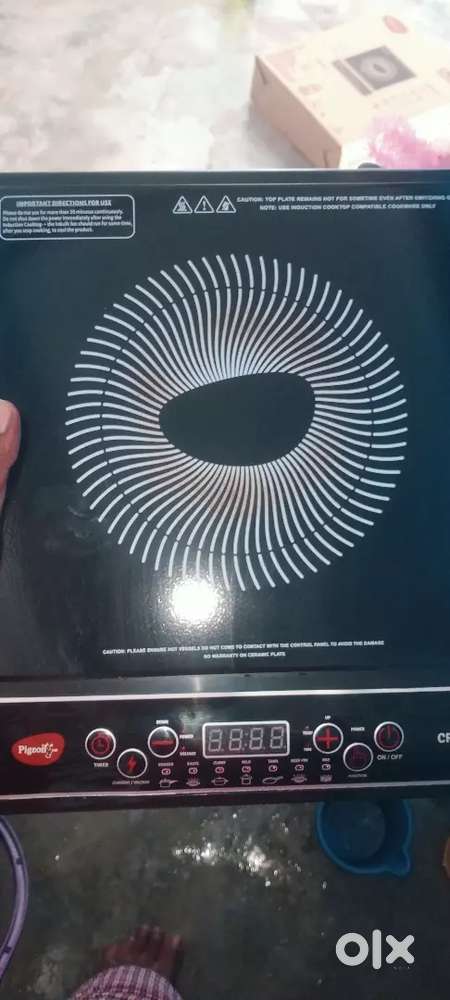 Induction oven