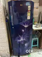 Antique and Rare LG refrigerator 270 Litres Single door | In gaurantee