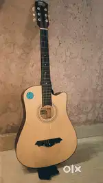 Intern 38C acoustic Guitar
