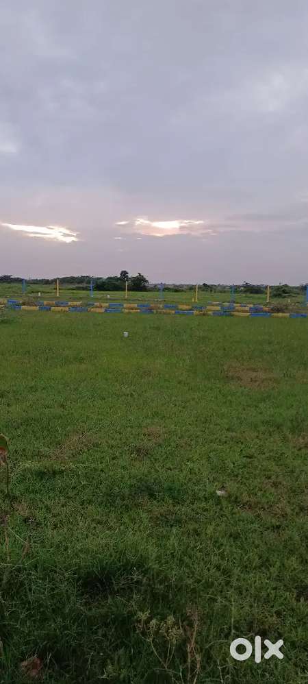 Low budget plots