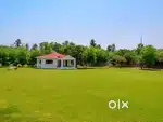 Luxury plot for sale in available in  Delhi near Dwarka express