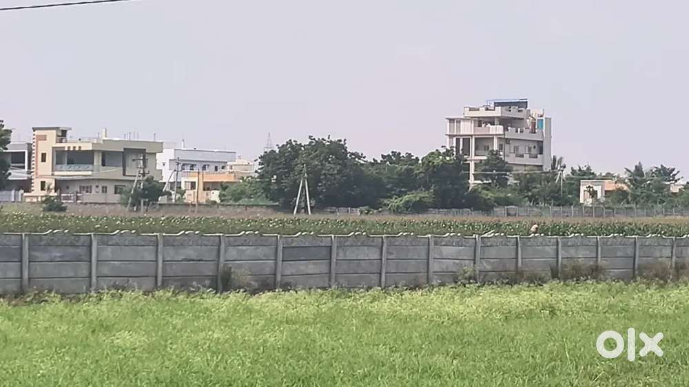 80 cnts land sale per cnt 2 laks near chekpost suitable for resorts