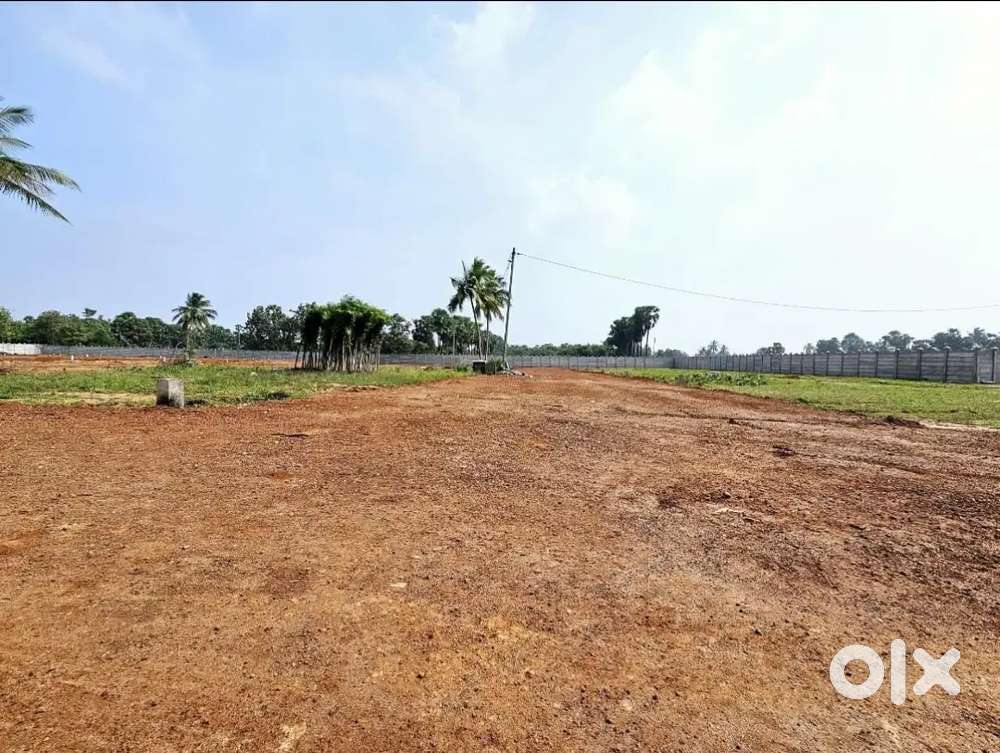 2999/-sqrd Little price -Large returns plots