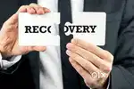 Loan Collection Executive