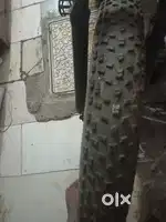 Fat tyre cycle