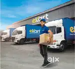 Delivery Executive