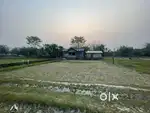 1.5 kotha  myadi mati for sale
