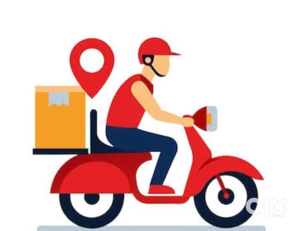 Delivery partners daily earnings