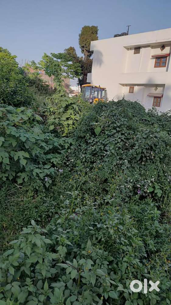 Plot For SaLe In Dehrakhas