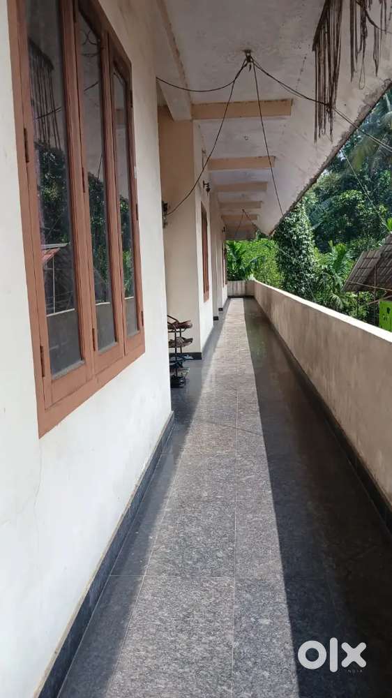 Commercial land and building